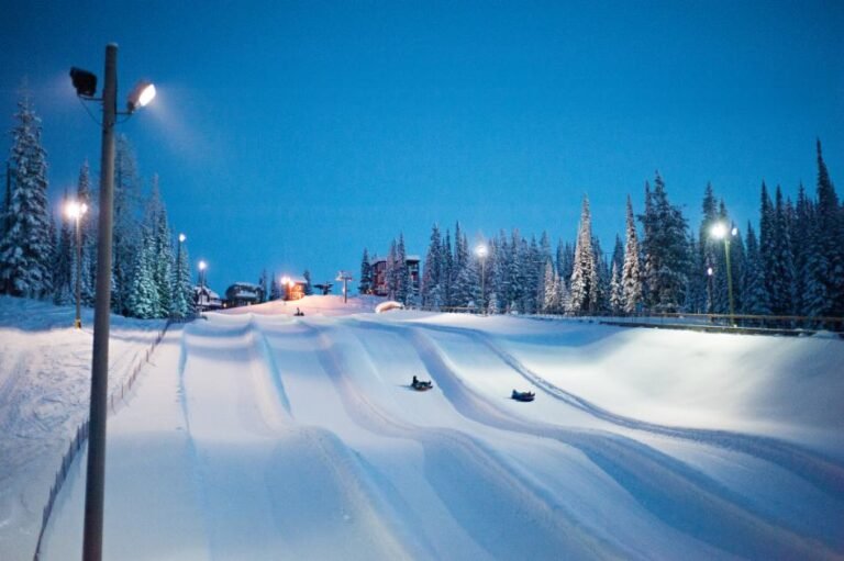 SS 2 resized 768x511