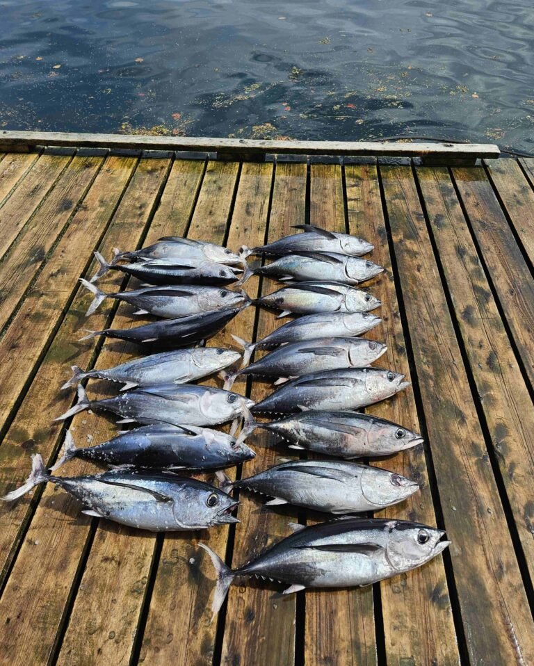 20240823 140603 edit 768x958