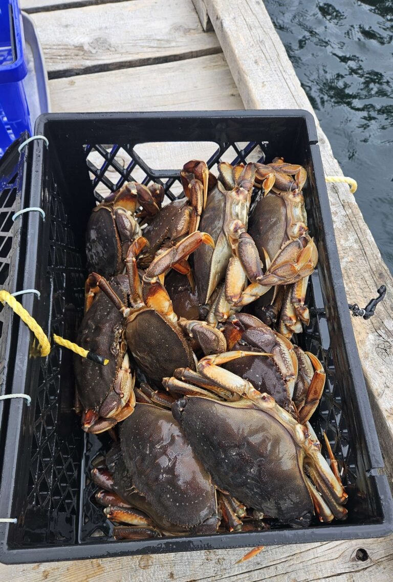 20250508 151341 edit 768x1137