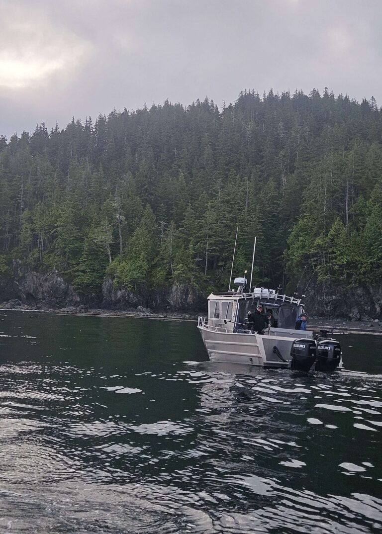 20250628 055357 edit 768x1074