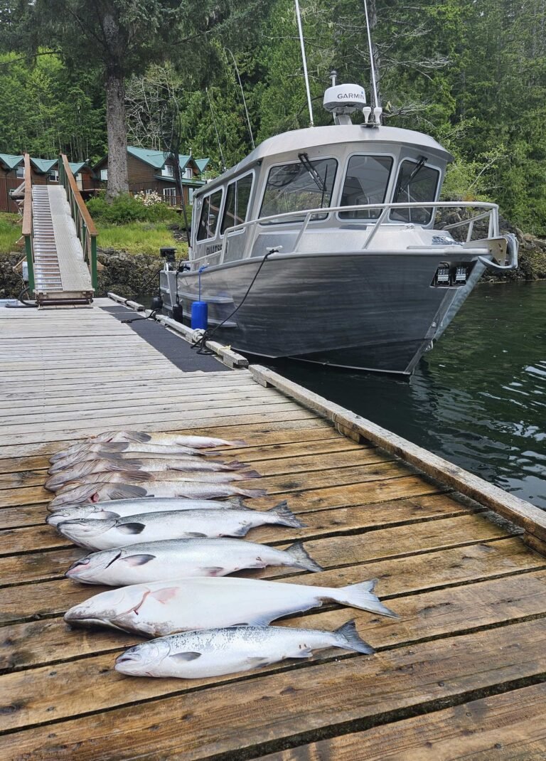 20250713 122926 edit 768x1070