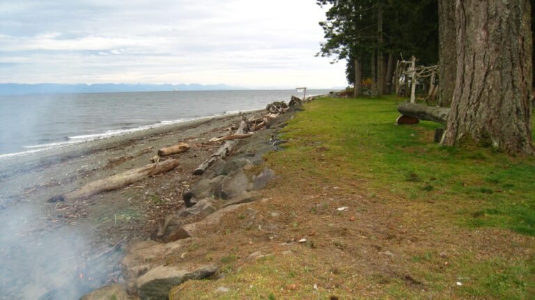 Beach view 1 768x431