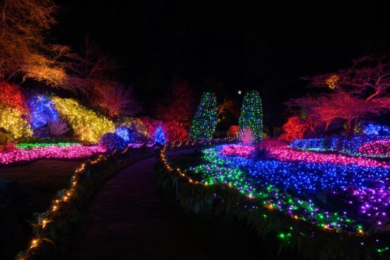 Christmas Lights 2025 10 09T115717.093 768x512