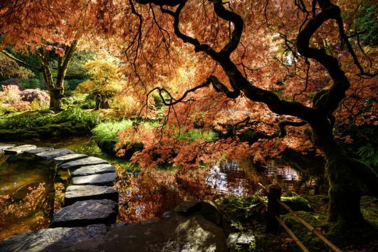 Japanese Garden 2025 10 09T115720.831 768x512