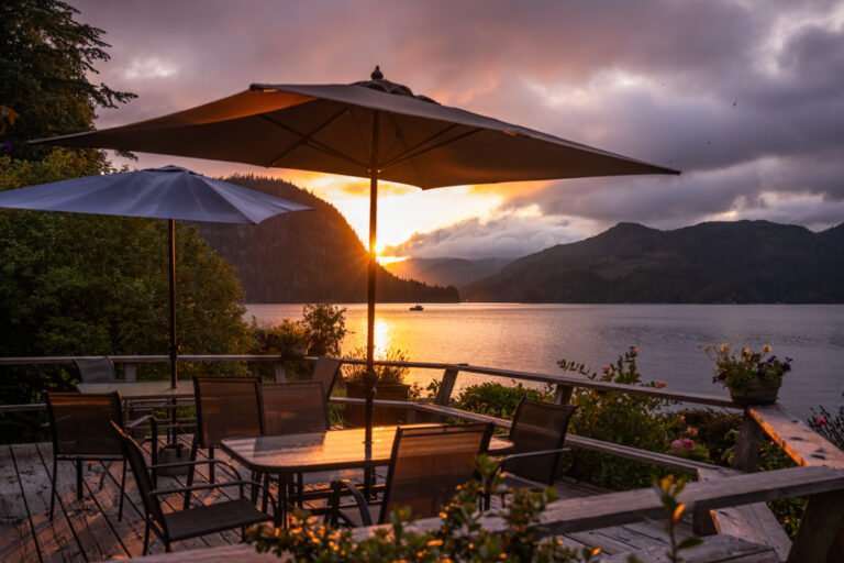 Lodge 2024 46 768x512