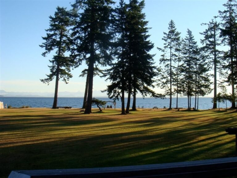 Ocean View Property 768x576