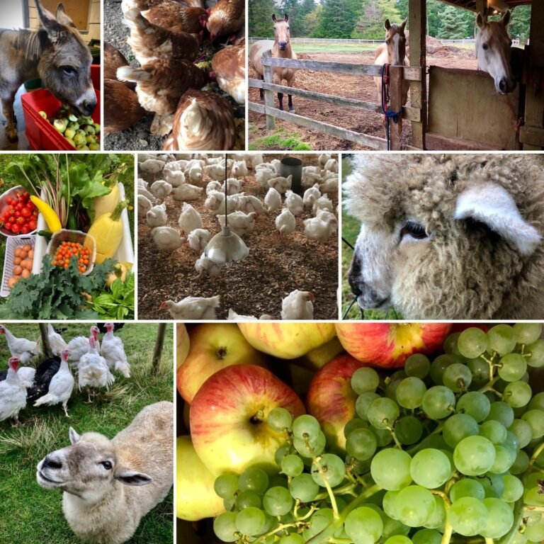 Photo 1 Resize 768x768