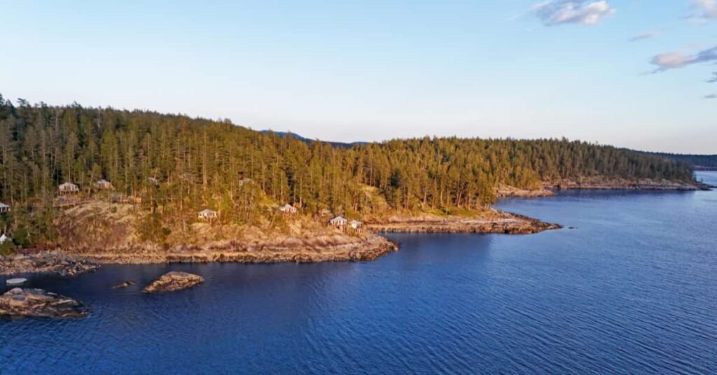 Aerial view of rustic waterfront cabins nestled among tall evergreen trees along a rocky Pacific Northwest coastline at golden hour