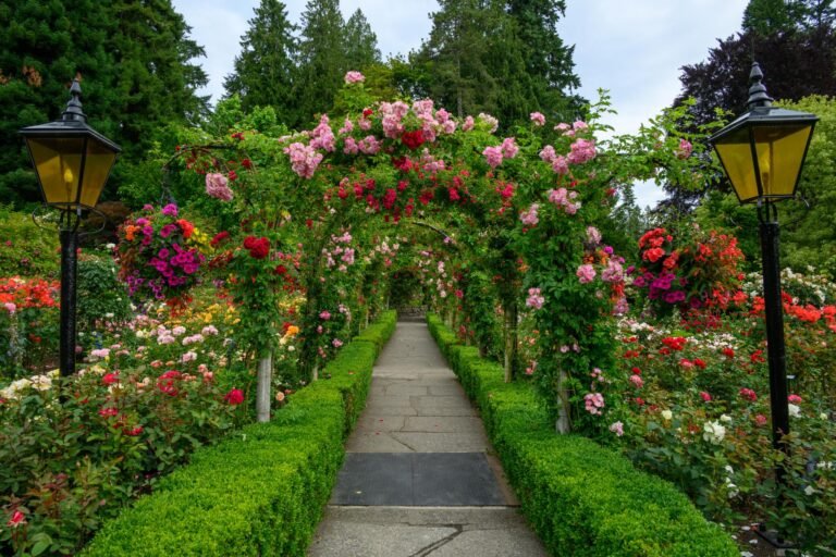 Rose Garden 96 768x512