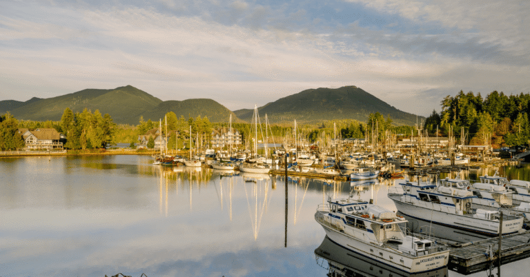 Snow or Sea 25 768x402