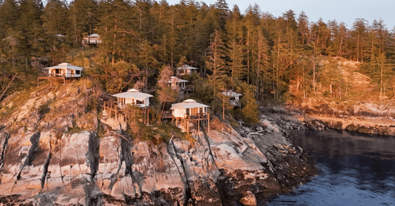 Snow or Sea 26 768x402