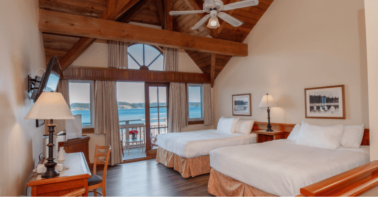 Snow or Sea 30 768x402