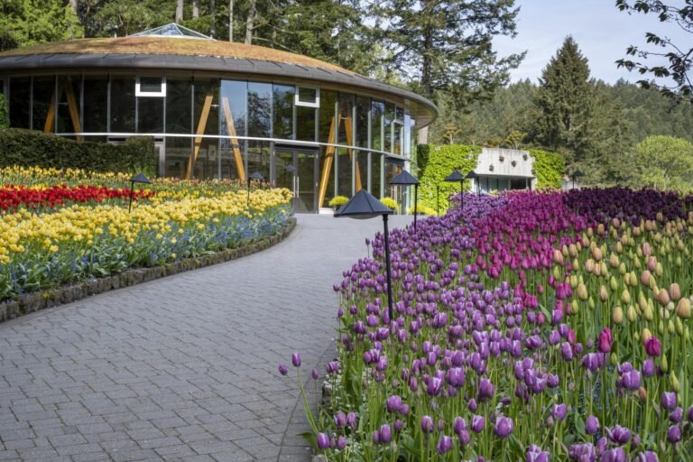 Spring 2025 10 09T115728.345 768x512