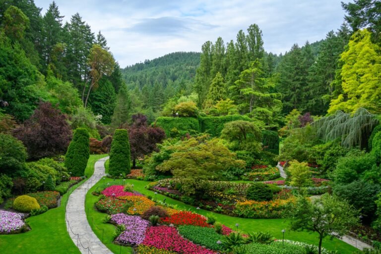 Sunken Garden 2025 10 09T115713.356 768x512