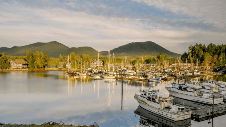 Untitled design 33 768x432