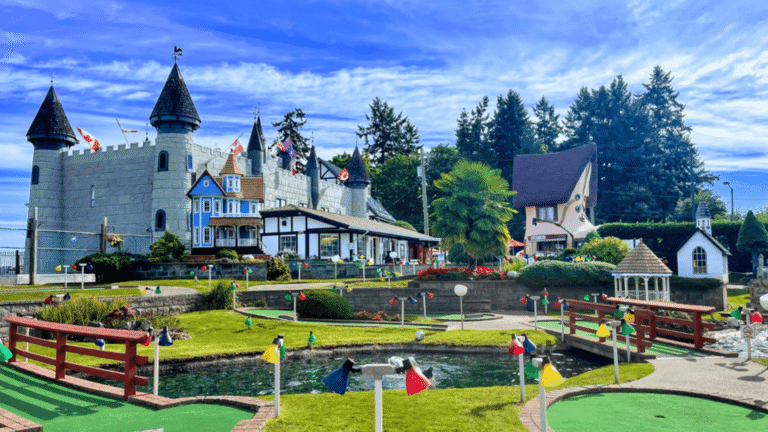 Untitled design 48 1 768x432