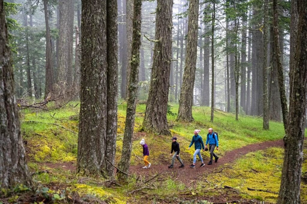 Fall in the Gulf Islands: Family hiking through a lush forest in the Southern Gulf Islands, British Columbia, during fall, surrounded by tall trees, moss, and a misty woodland atmosphere.