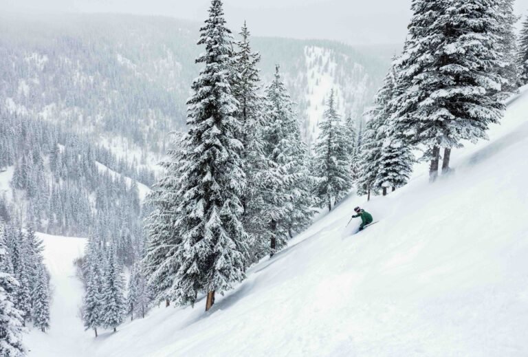 robbthompson 2021 01 28 0598 e 768x519