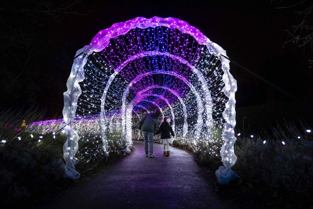 Vancouver Christmas lights - Visitors walking through illuminated purple and white light tunnel at VanDusen Botanical Garden Festival of Lights