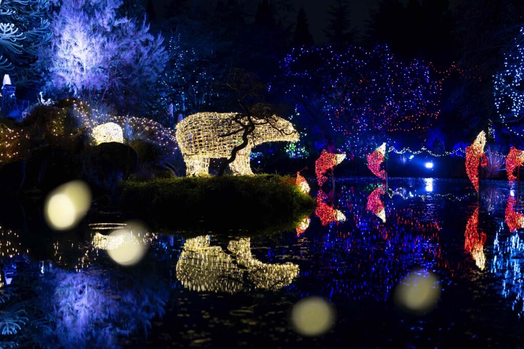 Vancouver holiday lights - Illuminated polar bear and flamingo sculptures reflecting in water at VanDusen Festival of Lights display