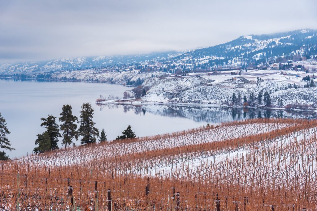 Thompson Okanagan ice wine vineyards covered in snow overlooking frozen lake and mountains in British Columbia