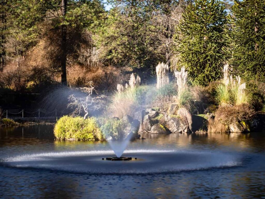 Frozen fountain at VanDusen Botanical Garden during winter in Vancouver, British Columbia