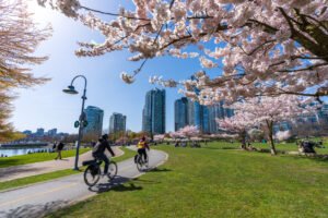 Cyclists and families enjoying cherry blossoms in Vancouver during BC spring break family adventures at the seawall park
