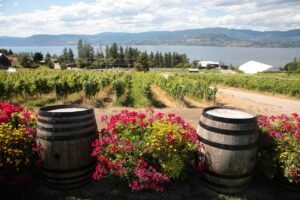okanagan spring wine country vineyard overlooking Okanagan Lake