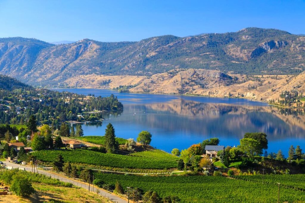 Lush green vineyards overlooking the blue waters of Skaha Lake in Okanagan wine country during spring.