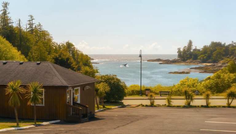 4. The Little Beach Resort 768x435